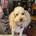 Phyllis Abel - Facebook