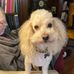 Phyllis Abel - Facebook