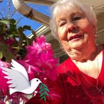 Phyllis Ackerman Adams - @aphyllisackerman - Instagram