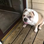 Phyllis Ackerman Adams - @phyllis_ackerman_adams122 - Instagram