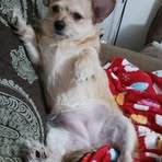 Phyllis Agee - Facebook