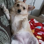 Phyllis agee - @phyllis0002 - Instagram