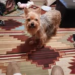 Phyllis J. Agee - Facebook