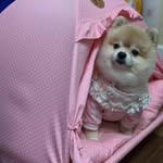 Phyllis Arthur - @phyllis.arthur.5688 - Instagram