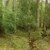 phyllisartis1 - @phyllisartis1 - TikTok