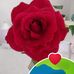 Phyllis Bailey - Facebook