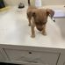 Phillis A Baldwin - Facebook