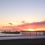 Phyllis Baldwin Swan - @phyllisbaldwinswan - Instagram
