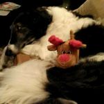 Phyllis Barlow - @phyllisbarlow41 - Instagram
