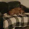 Phyllis Barlow - @phyllis.barlow - TikTok