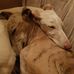 Phyllis Barlow - Facebook