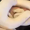 phyllisbarrett37 - @phyllisbarrett37 - TikTok