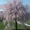 phyllisbarrett95 - @phyllisbarrett95 - TikTok