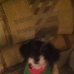 Phyllis Bates - @phyllisbates48 - Instagram