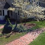 Phyllis Bates - @phyllisbates1968 - Instagram