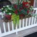 Phyllis Baum - Facebook