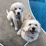 Phyllis Mandelbaum - @phyllismandelbaum - Instagram
