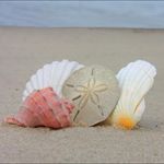 Phyllis Paul Beach - @pbeach1159 - Instagram