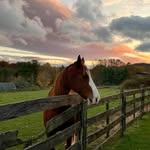 Phyllis Beamer - @phyllisbeamer - Instagram