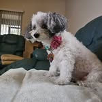 Phyllis F. Bean - @bean_phyllis - Instagram