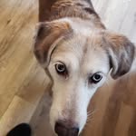 Phyllis Beaver - @pbeaver01 - Instagram