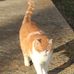 Phyllis Beavers - Facebook
