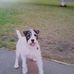 Phyllis Beech - Facebook