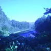 phyllisholtbeecha - @phyllisholtbeecha - TikTok