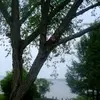PhyllisBensonf - @kgsbc - TikTok