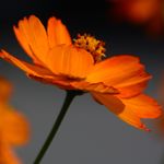 Phyllis Bentley - @phyllisbentleyphotos - Instagram