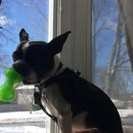 Phyllis Hancock Bergant - @phyllisbergant - Instagram