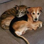 Phyllis Buckley - @phyllis.buckley.58 - Instagram