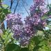Phyllis Blake - Facebook