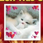 Phyllis McLain Blakeney - @phyllis.blakeney6218 - Instagram