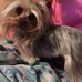 Phyllis Blalock - Facebook