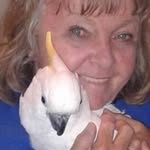 Phyllis Blaylock - @phyllisblaylock - Instagram