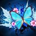 Phyllis Blaylock - Facebook
