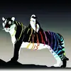 Phyllis Bolden - @phyllis.bolden2 - TikTok