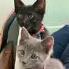 Phyllis Breeden589 - @breedepd - TikTok
