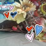 Phyllis Breeden - Facebook