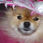 Phyllis Buckley - Facebook