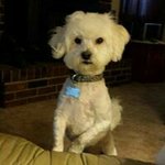 Phyllis Burchett - @phyllisburchett - Instagram