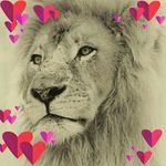 Phyllis Burrell - @phyllis.burrell.773 - Instagram
