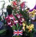 Phyllis Burrows - Facebook