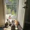 Phyllis Caldwell - @phyllis.caldwell7 - TikTok