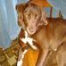 Phyllis Camp - Facebook