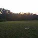 Phyllis Watkins Campbell - @phyllis_campbell27 - Instagram
