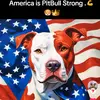 phyllisjean - @phyllisjeancampbe - TikTok