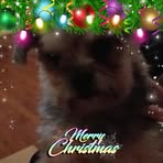 Phyllis Carnes - Facebook