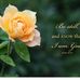 Phyllis Mitchell Cates - Facebook